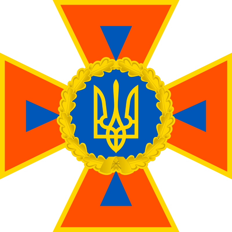 DSNS