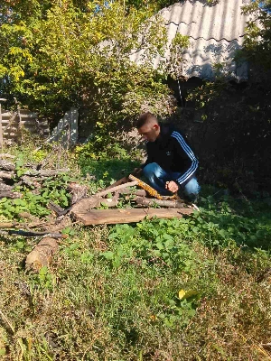 Вшанували людей старшого покоління